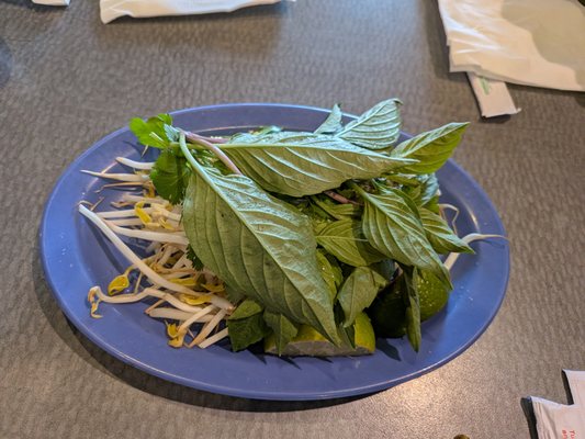 Phở Pasteur by null