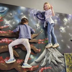 Maine Warrior Gym - Climb Mount Fuji!