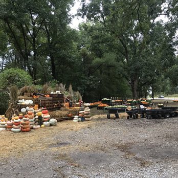 Jones Orchard - Pumpkin - Fruits & Veggies Near Me - Millington, Tennessee