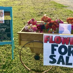 The Flowered Filly
