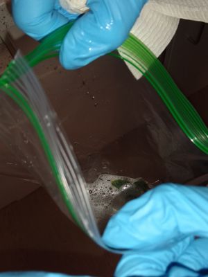 Murray Family Dental