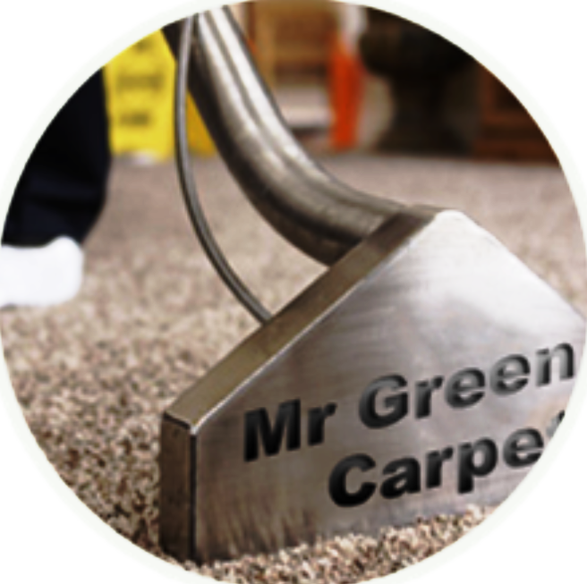 Mr. Green Carpet Care - upholstery in Brooklyn, NY