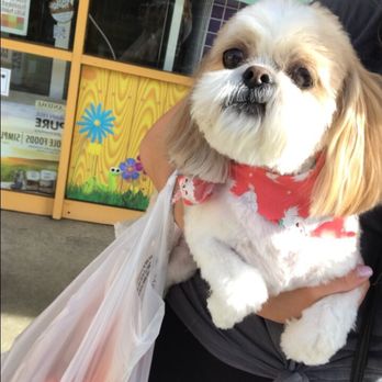 My Pet Garden - Fresh cut! Being carried out like a queen!! - Pet Stores Near Me - Pasadena, California My Pet Garden - Fresh cut! Being carried out like a queen!! - Pet Stores Near Me - Pasadena, California
