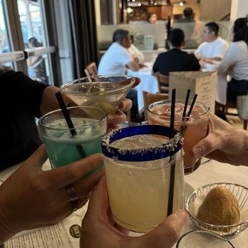 Brio Italian Grille - Cheers! - Italian Near Me - Tampa, Florida Brio Italian Grille - Cheers! - Italian Near Me - Tampa, Florida
