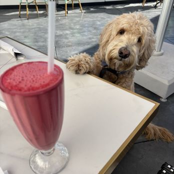Cafe Landwer - Berry Beet Blast - Cafes Near Me - Las Vegas, Nevada Cafe Landwer - Berry Beet Blast - Cafes Near Me - Las Vegas, Nevada