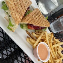Turkey cranberry panini