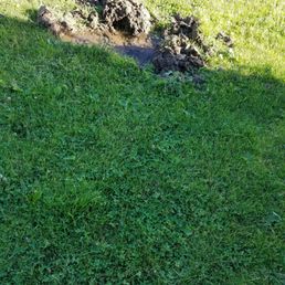 Unexplained hole at campsite Unexplained hole at campsite