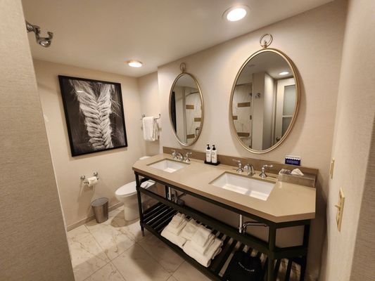 The Galt House Hotel by null