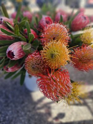 Burbank Farmers Market by null