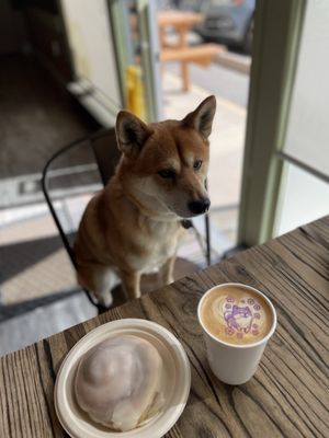 Laptop friendly cafe