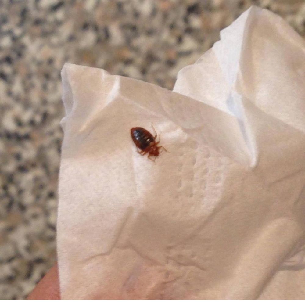 QUALITY INN & SUITES CIVIC CENTER Updated June 2024 41 Photos & 25