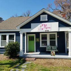 Beautiful view of Dog Nail Trimming Near Me