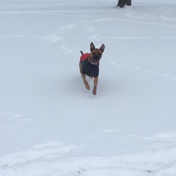 Miller Meadows Dog Park - Winter time. - Dog Parks Near Me - Forest Park, Illinois