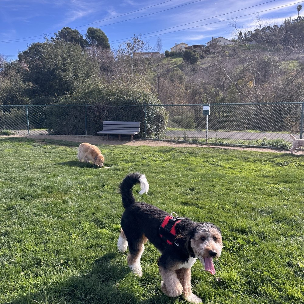 Wardlaw Dog Park - Dog Parks Near Me - Vallejo, California Wardlaw Dog Park - Dog Parks Near Me - Vallejo, California