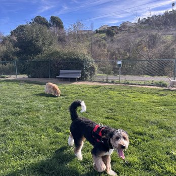 Wardlaw Dog Park - Dog Parks Near Me - Vallejo, California