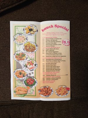 Menu photo 2 China Star Lithia, FL