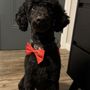 Woof Gang Bakery & Grooming