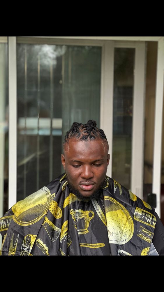 Rafs braids and locs Logo