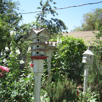Boho Farm and Home - Guest Houses Near Me - Phoenix, Arizona