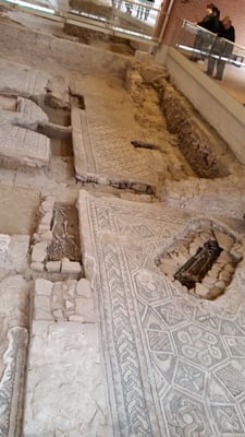 Domus del Chirurgo by null