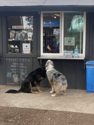 The Watering Bowl by null
