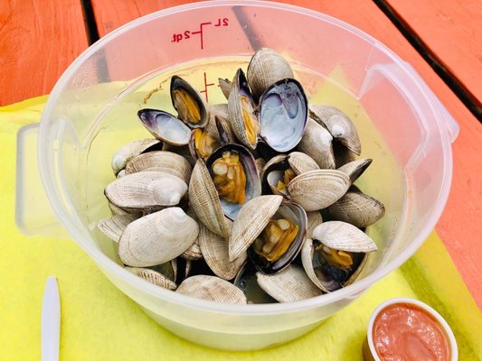 South Beach Fish Market by null
