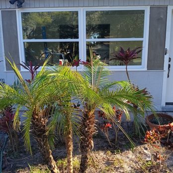 O&B Tree Services - Tree Services Near Me O&B Tree Services - Tree Services Near Me