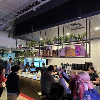 Tea Do Fairfax - Registrar area - Bubble Tea Near Me - Fairfax, Virginia Tea Do Fairfax - Registrar area - Bubble Tea Near Me - Fairfax, Virginia
