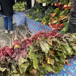 Tikal Organic Farms - Fresh Produce at the Clement Street Farmers Market San Francisco