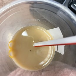 Bug in my Iced Coffee
