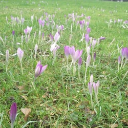 Großmarkt Köln - Der Frühling wurde gerade importiert