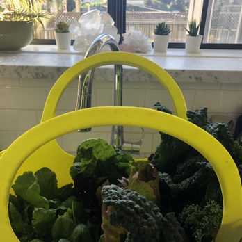 Nick House Gardening - One of many weekly harvests - Thank you Nick!!! - Gardeners Near Me - Los Angeles, California Nick House Gardening - One of many weekly harvests - Thank you Nick!!! - Gardeners Near Me - Los Angeles, California