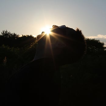 Webb Memorial State Park - Eating the sun - Parks Near Me - Weymouth, Massachusetts