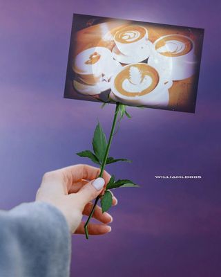 Victor's Celtic Coffee & Roasters by null