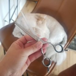 Mike & Son Sharpening Service - Hashimoto Grooming Shears