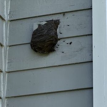 Stonewood Pest Control - Pest Control Near Me