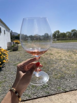 Canihan Wines by null