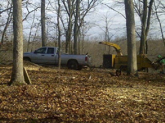 P&G TREE SERVICE - Updated January 2025 - Easton, Connecticut - Tree