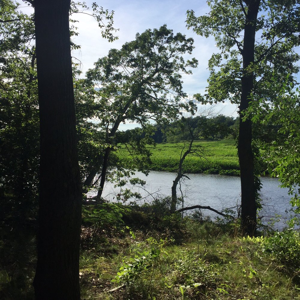 Off the blue trail.