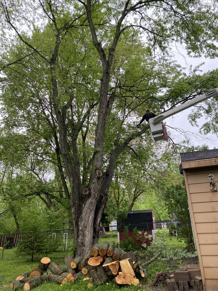 LAPLANTE’S MAINTENANCE AND ARBORIST 1839 East Wattles, Troy, Michigan