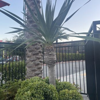 Le Meridien Pasadena Arcadia - Hotels Near Me - Arcadia, California