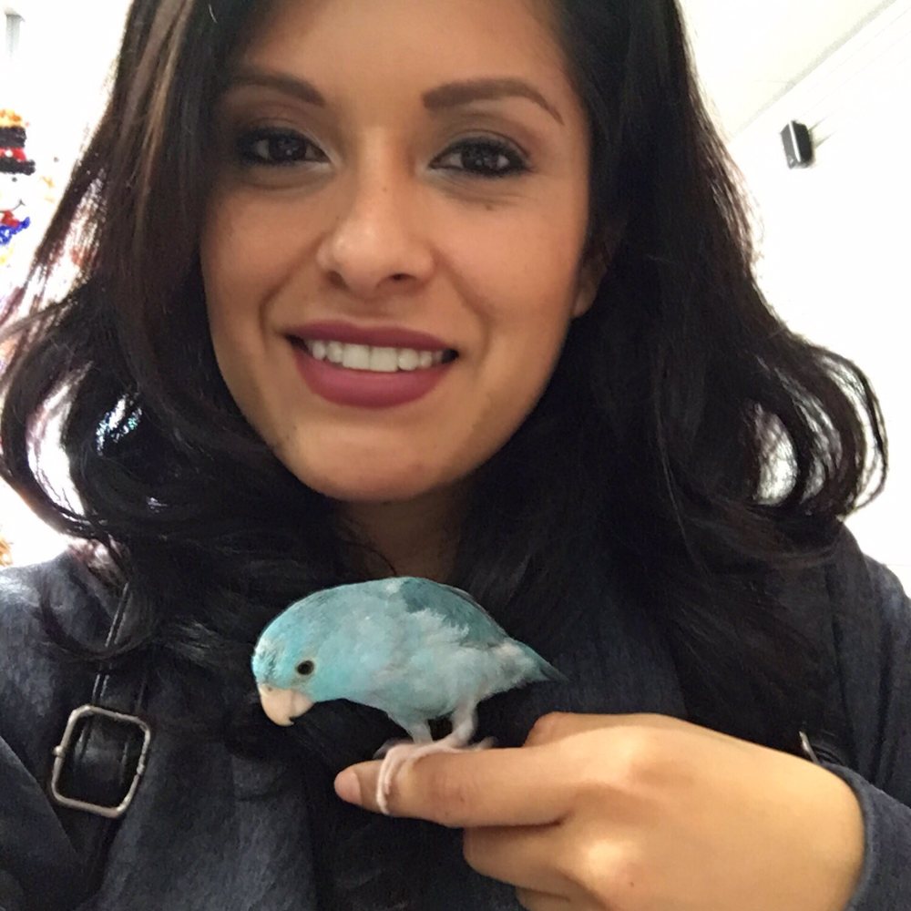 AIM Mail Center - Don't forget to meet Misty blue - Notaries Near Me - Huntington Beach, California AIM Mail Center - Don't forget to meet Misty blue - Notaries Near Me - Huntington Beach, California