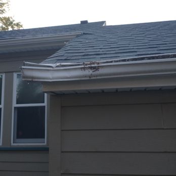 Jeff H Pro Tree Care - Tree Services Near Me Jeff H Pro Tree Care - Tree Services Near Me