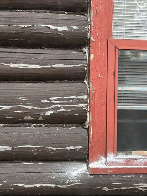 The Birches Resort by null