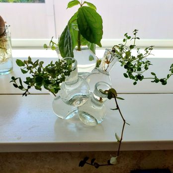 Value Village - I bought this glass container. - Thrift Stores Near Me - Tukwila, Washington