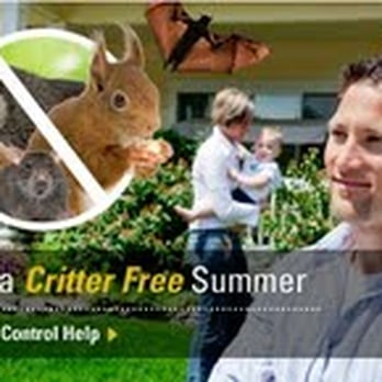 Critter Control - Pest Control Near Me - Charlotte, North Carolina Critter Control - Pest Control Near Me - Charlotte, North Carolina