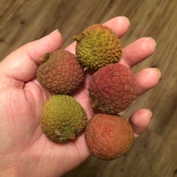 H Mart - Suwanee - 5 Lychee for .18 haha yum! - Grocery Near Me - Suwanee, Georgia H Mart - Suwanee - 5 Lychee for .18 haha yum! - Grocery Near Me - Suwanee, Georgia