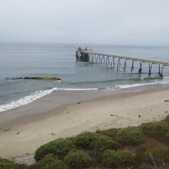 Carpinteria Seal Sanctuary - Peaceful place to visit. Only two seals spotted on July 23, 2017. - Parks Near Me - Carpinteria, California Carpinteria Seal Sanctuary - Peaceful place to visit. Only two seals spotted on July 23, 2017. - Parks Near Me - Carpinteria, California
