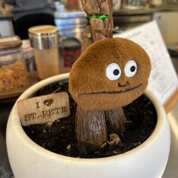 Daycation Coffee - Coffee & Tea Near Me - St. Petersburg, Florida
