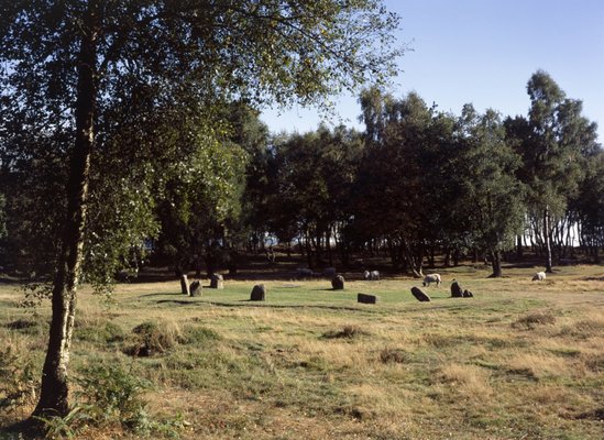 Nine Ladies Stone Circle by null